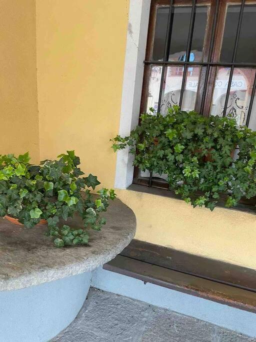 Appartamento “Sut L'Ala” Netro Exterior foto